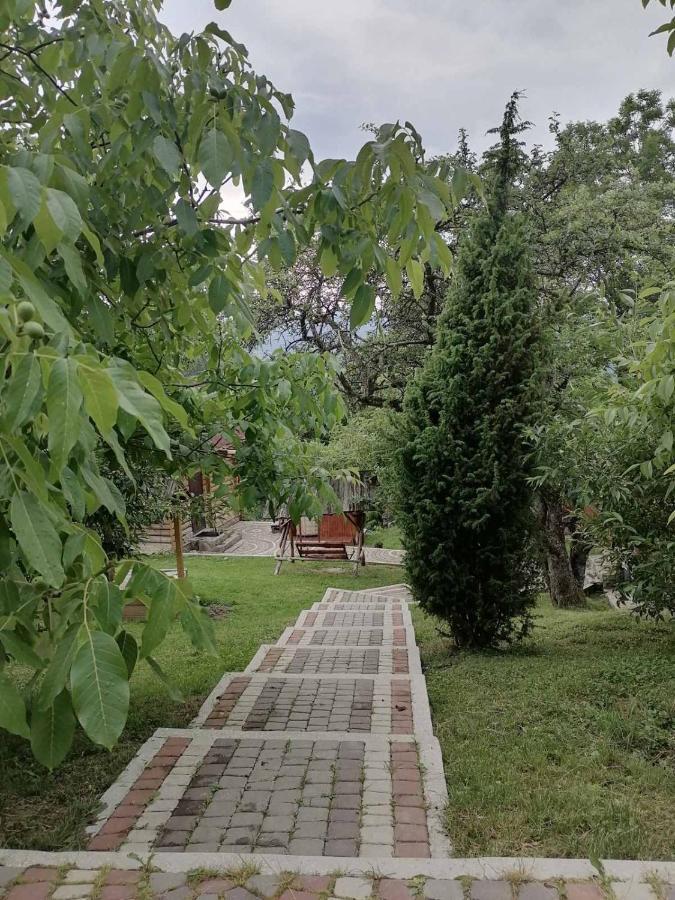 Lavender Valley Perekrestnoye Dış mekan fotoğraf