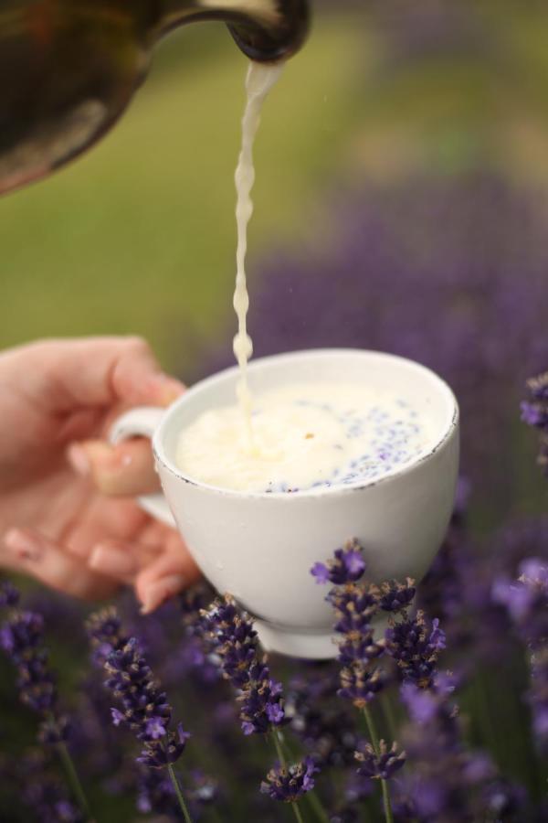 Lavender Valley Perekrestnoye Dış mekan fotoğraf
